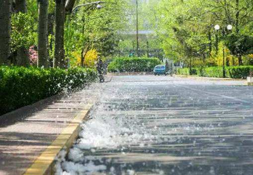 杨柳絮易燃,杨柳絮易燃性有多高