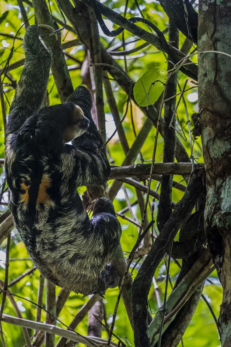 南美之旅总结篇,南美之行结束感悟