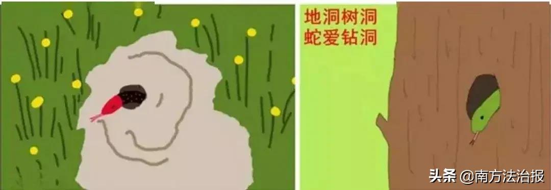 特别吓人的幼儿园,幼儿园里的神秘怪物