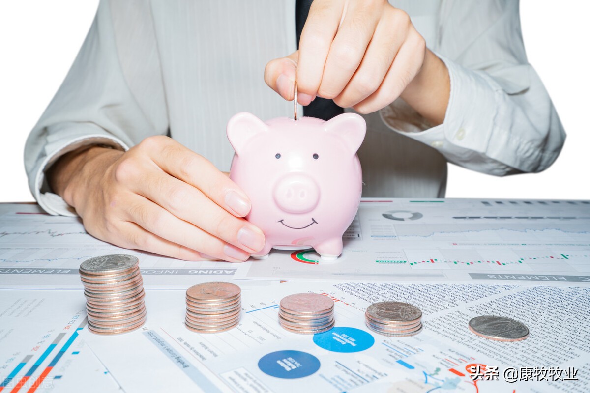 天邦股份在哪养猪,养猪上市公司天邦股份