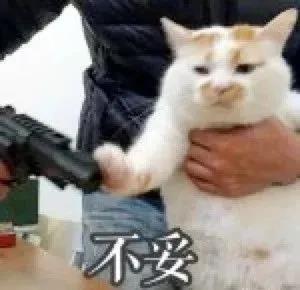 晚清末年,人们认为猫毛蓄电可以治病