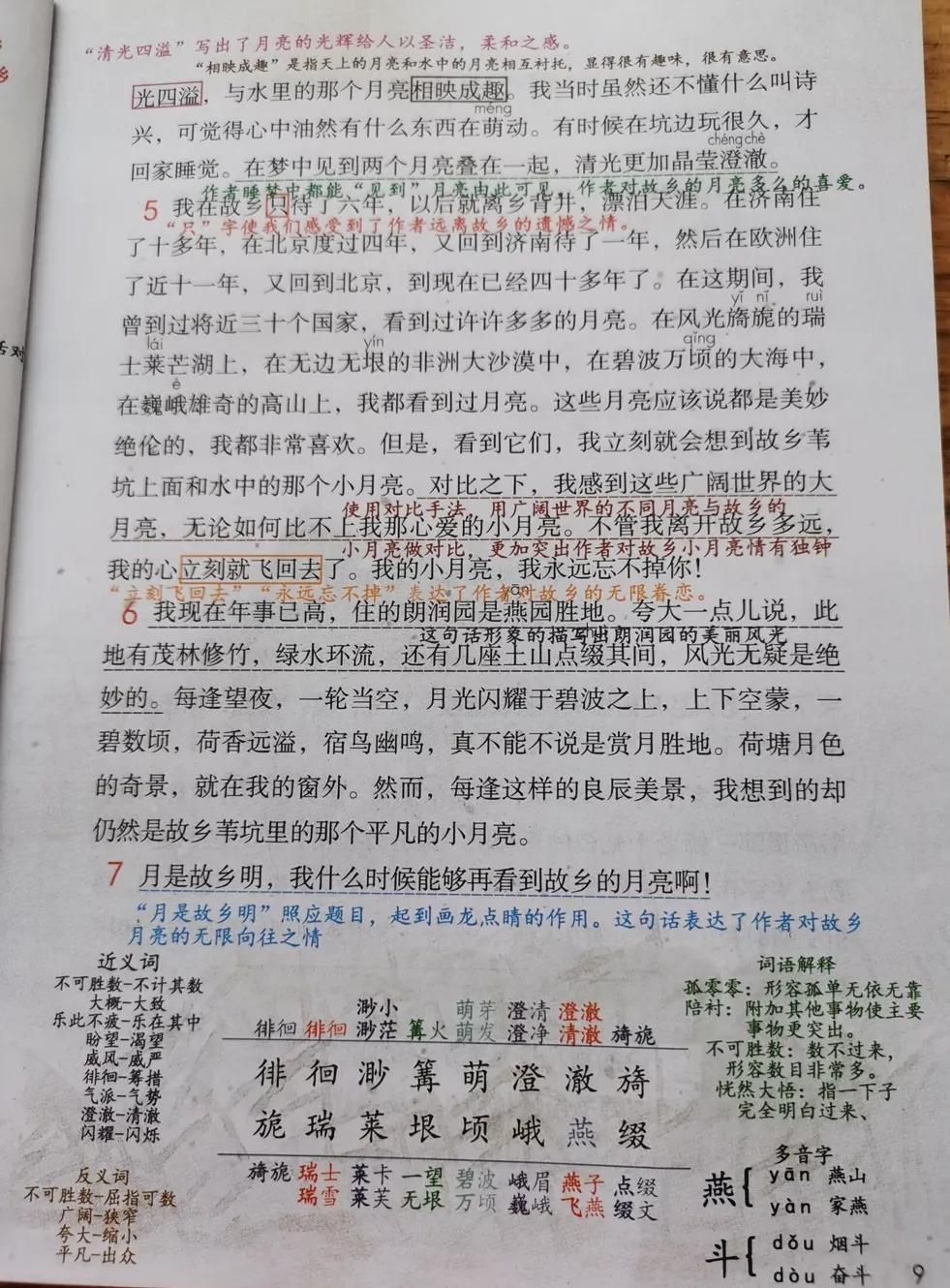 五年级下册语文第四单元笔记完整,牛奶爱面包五年级下册二单元笔记