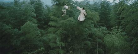 竹林被韩国申遗成功了吗,全球唯一申遗的古茶山