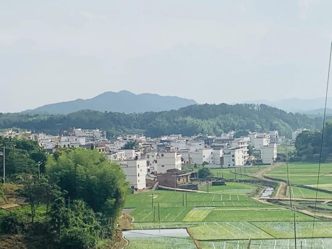 大坪上洛村,深度贫困村打赢翻身仗