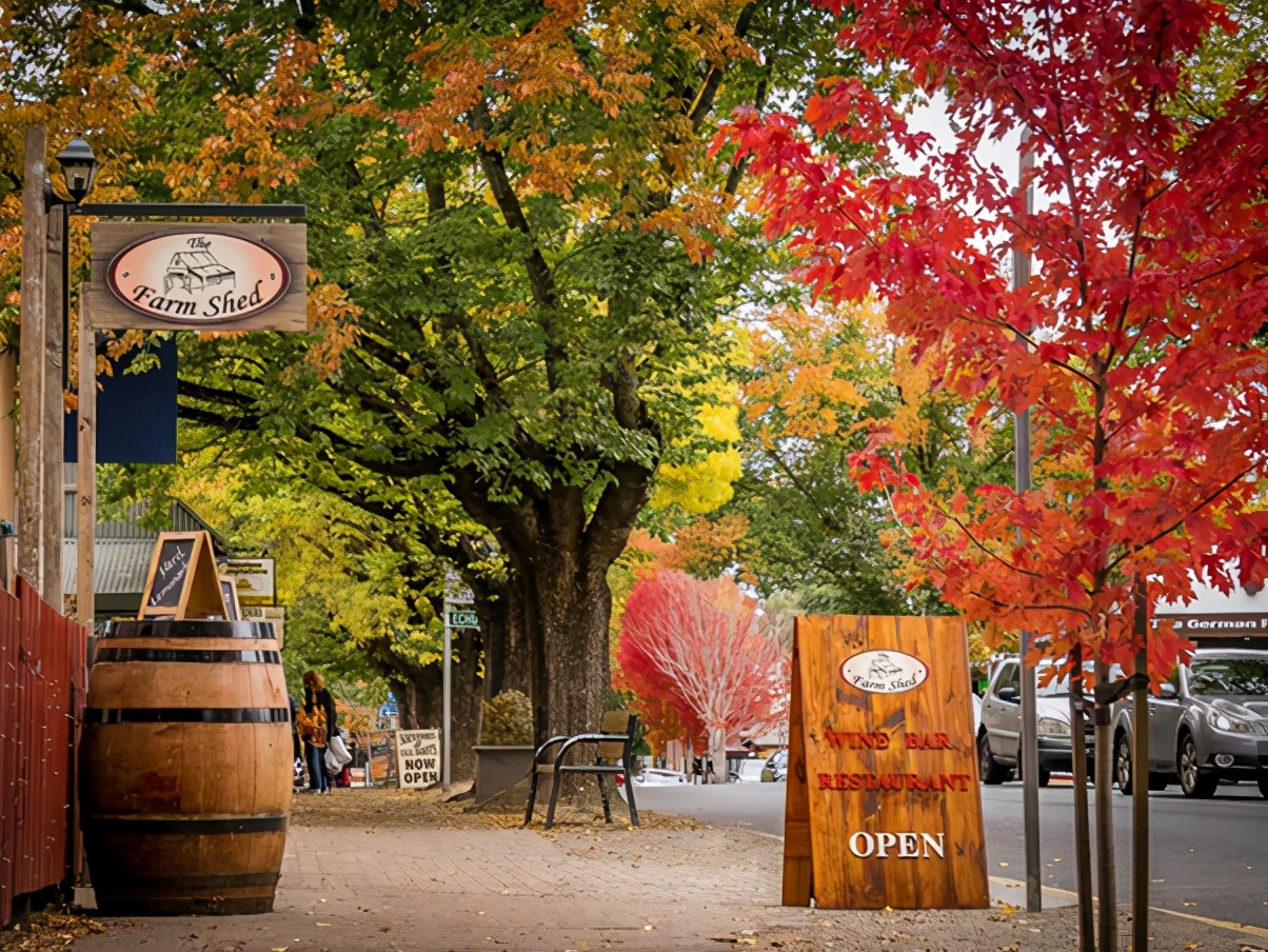 爱戴绿帽子，喜欢捡破烂，只吃猪蹄和香肠。奇葩的德国村，逛逛去