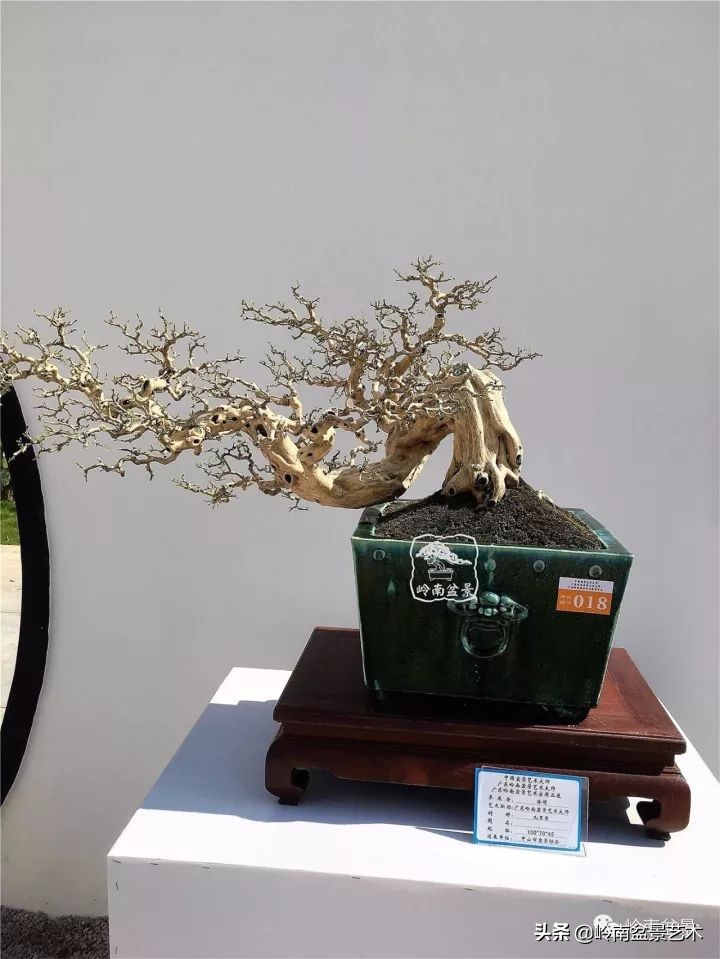 骞哥涔呬箙鐢滅敎铚滆湝,骞哥涔呬箙