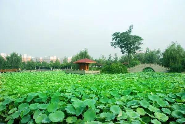 鍙屾祦鍛ㄨ竟缇庨鍏洯,鎴愰兘鍙屾祦缇庨鍏洯