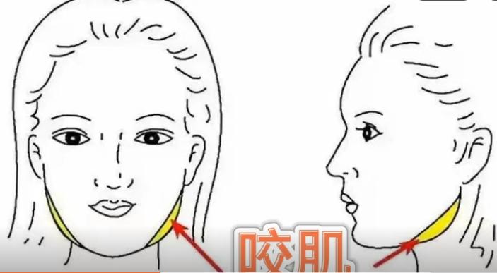 脸大做什么操,脸部做什么动作可以瘦脸