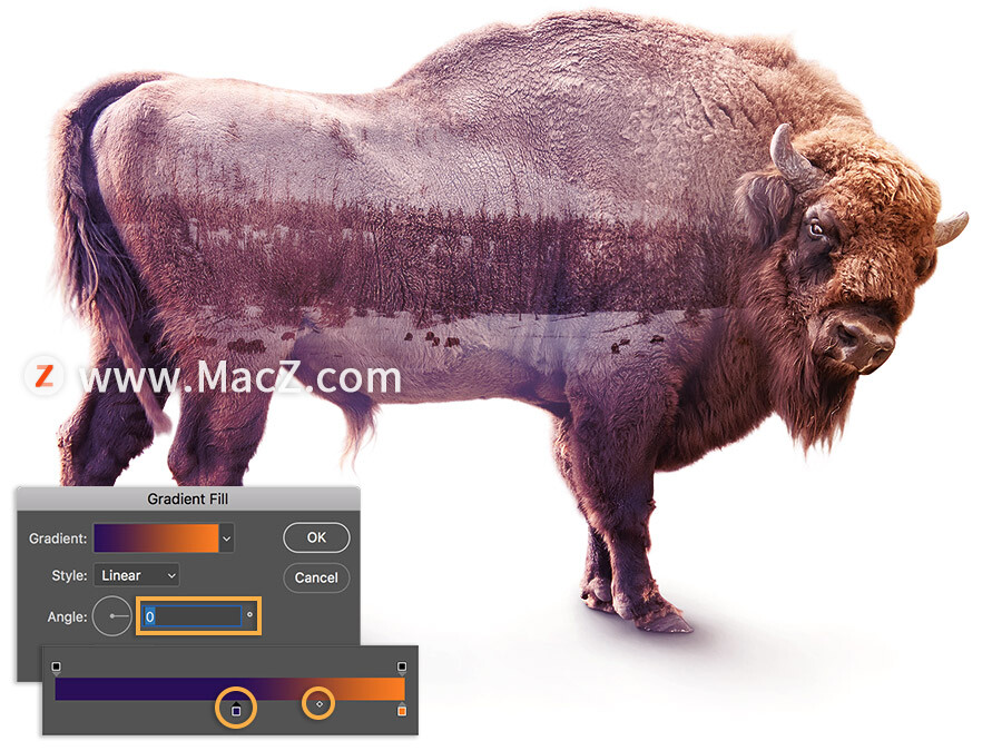 ps中怎么创建选区,ps教程百张相片