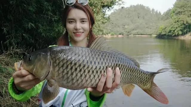 打窝以后抛竿抛不准,打窝后来鱼少是咋回事