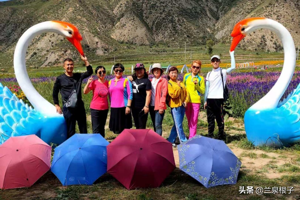 夏河县达尔宗湖景区电话,夏河县达尔宗湖游玩攻略