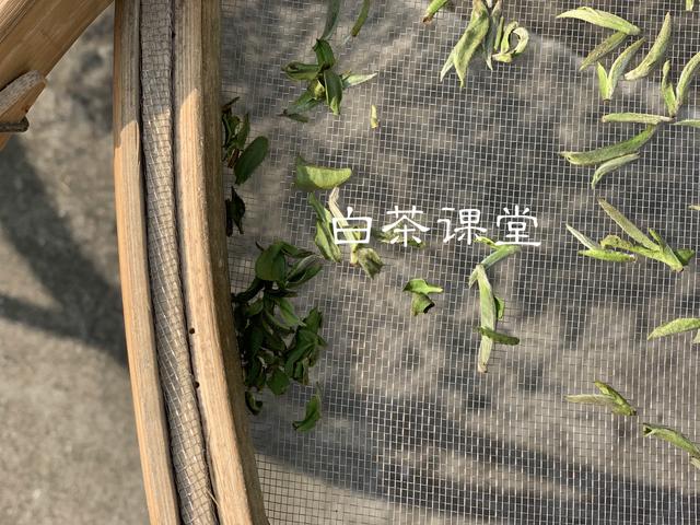 看完这六个问题你还敢迷茫吗,看完这六个问题你还再迷茫吗