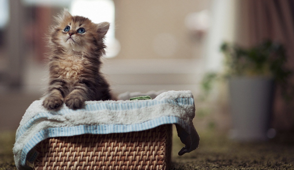 当我和我的朋友谈论感情,当我和朋友聊天我们在聊什么