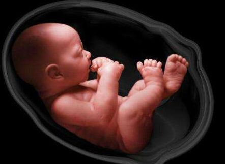 为什么胎水叫羊水,包裹胎儿的水为什么叫羊水