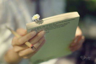 看书从零开始学创业,看书边实践创业