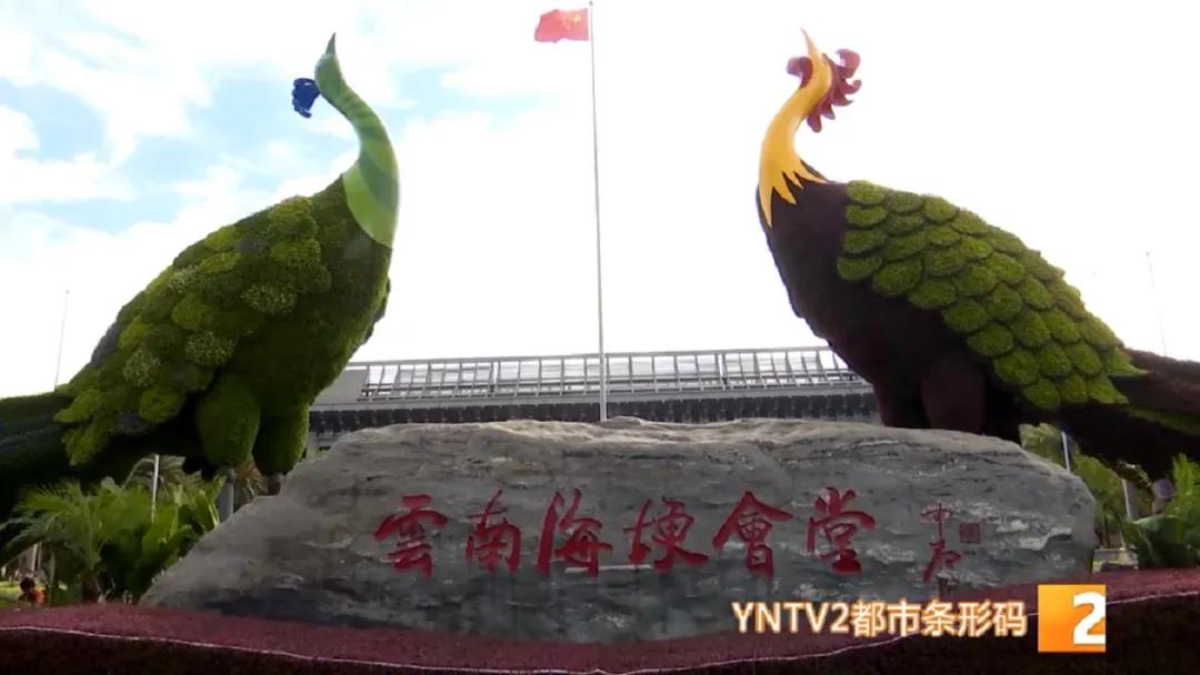 昆明100个立体花坛位置,昆明cop15立体花坛