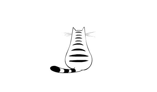 养猫怎么喂养小猫,新手养猫准备接猫咪需要买什么