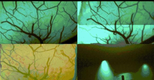 美国微信最新官方消息,微信在美国最新进展情况