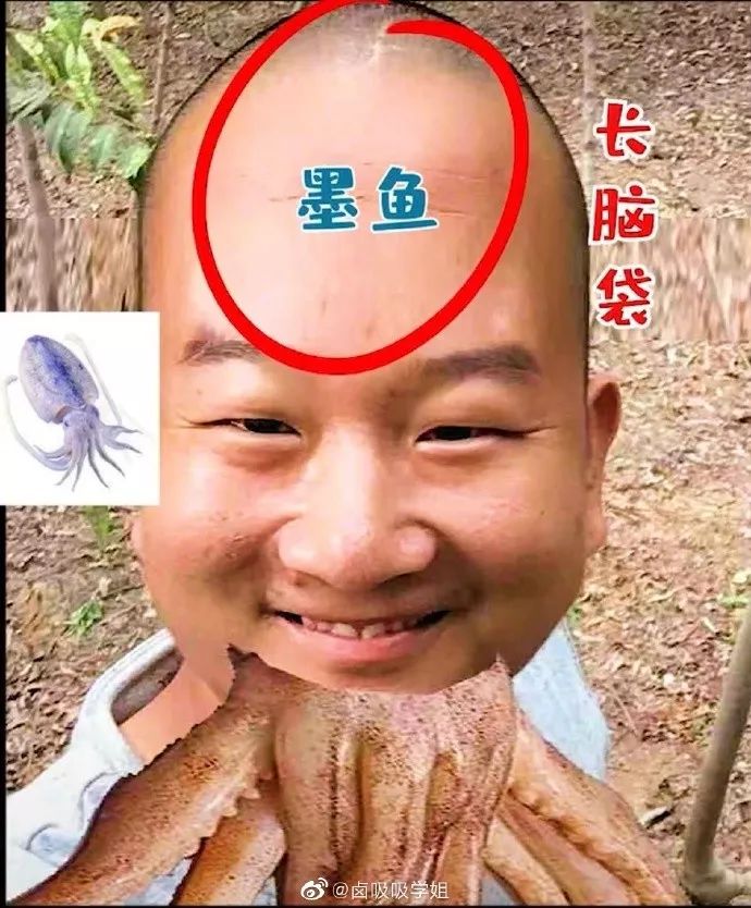 鱿鱼墨鱼乌贼八爪鱼章鱼的区别,墨鱼与鱿鱼章鱼八爪鱼有什么区别