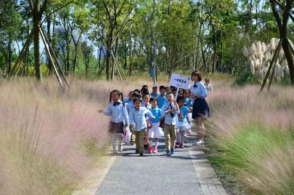 别人家的学校,天府七小和元音小学哪个好