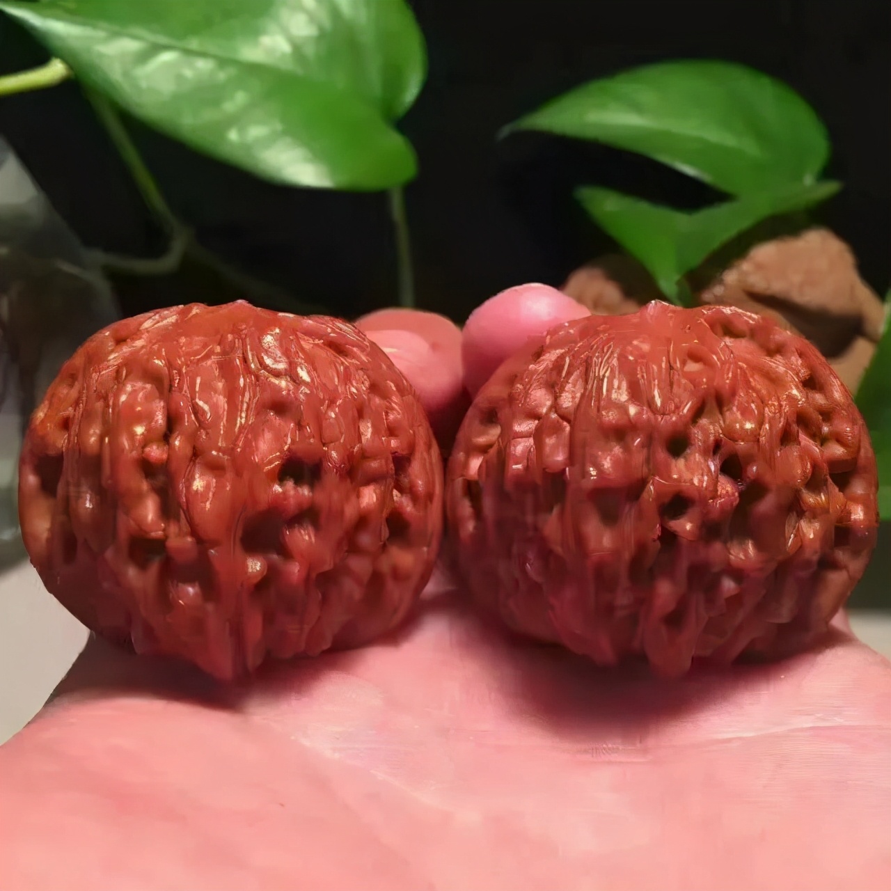 盘核桃如何快速上色,核桃上色最快的方法