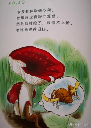 蚯蚓的日记绘本好词好句,100个最经典的绘本蚯蚓的日记