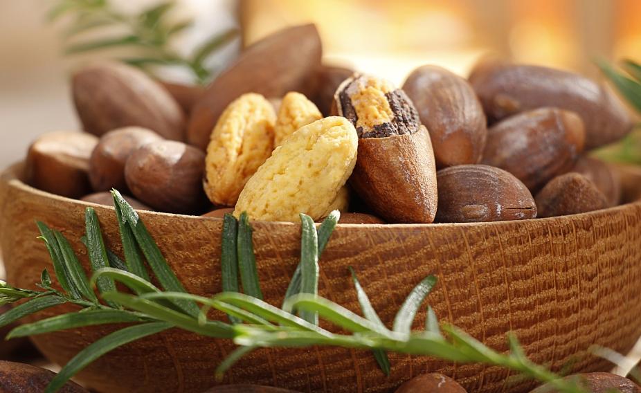 关于银杏你还知道什么,香榧小知识