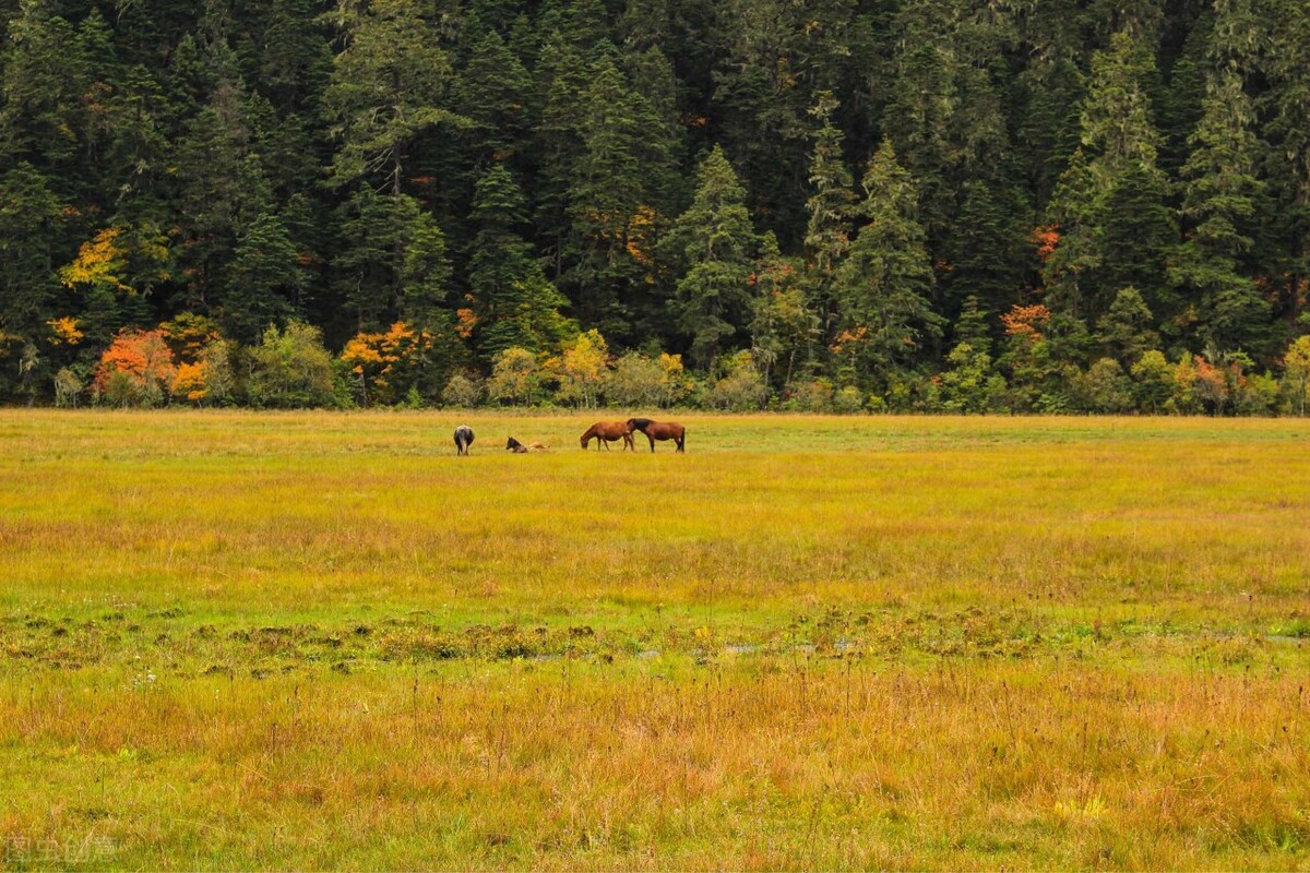 国内最经典12条自驾游线路,国内十大自驾游线路推荐
