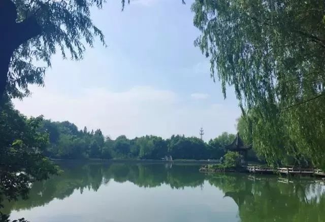 閲戝潧鏄弻闈㈠煄甯傚悧,閲戝潧鏄竴涓編涓界殑鍩庡競