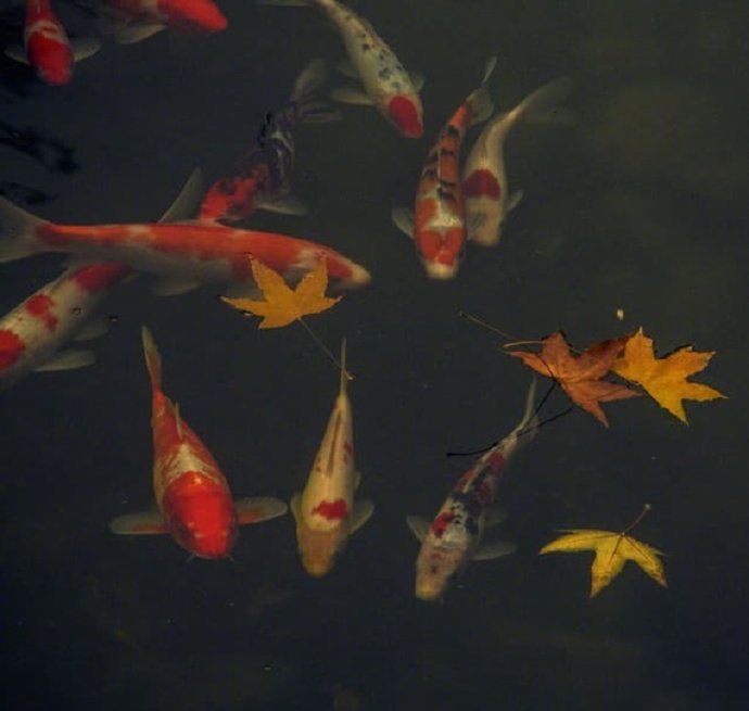 万壑千岩图片,万壑千岩锁翠烟赏析