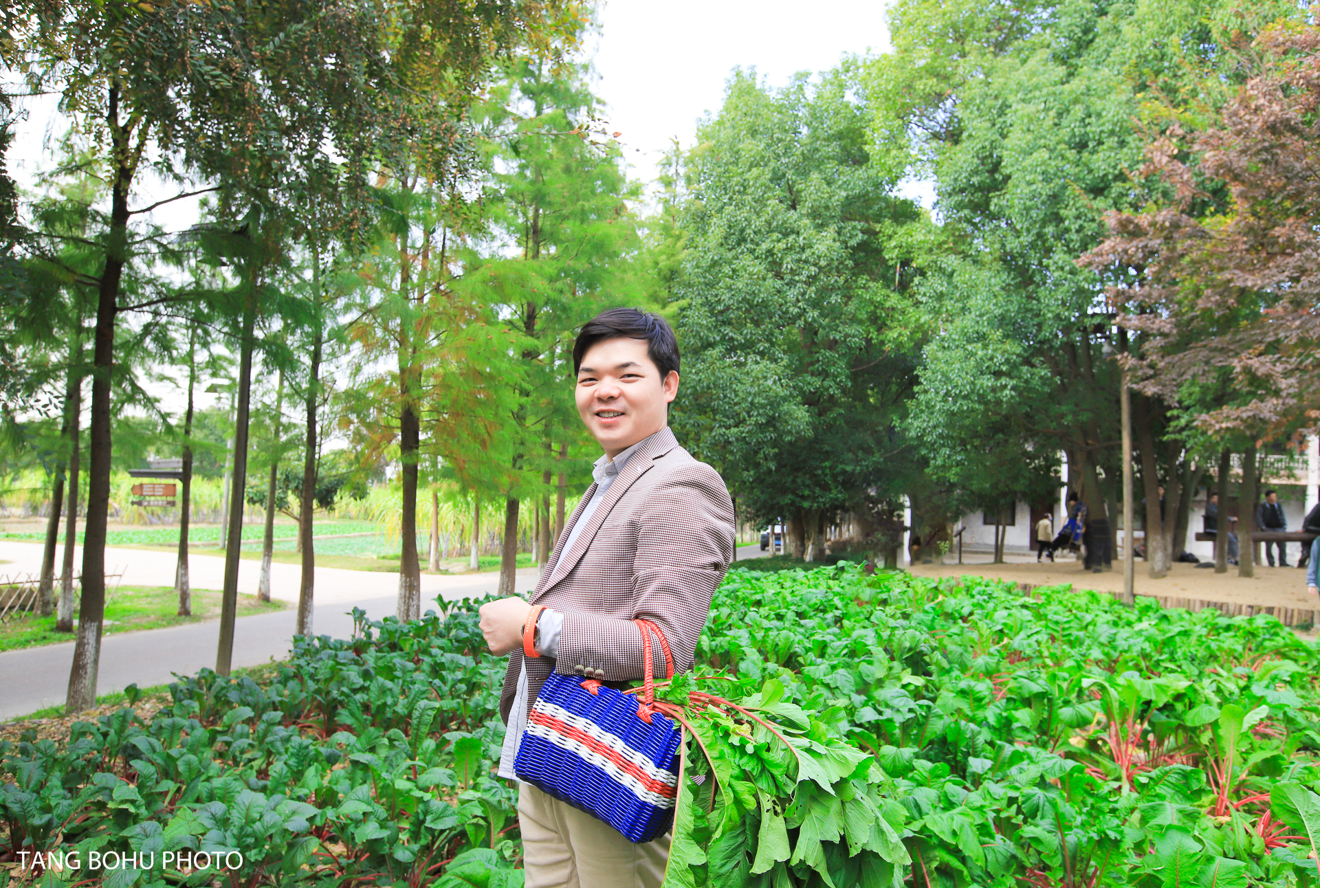 乌镇，来过未曾离开，感受小桥流水人家的静谧安闲