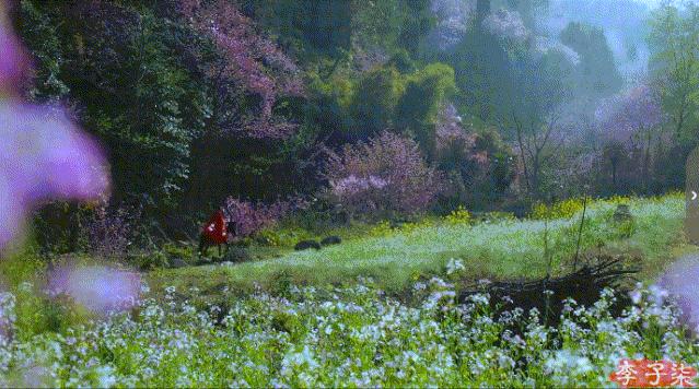 李子柒消失的55天鲜花宴,李子柒火到全球的视频