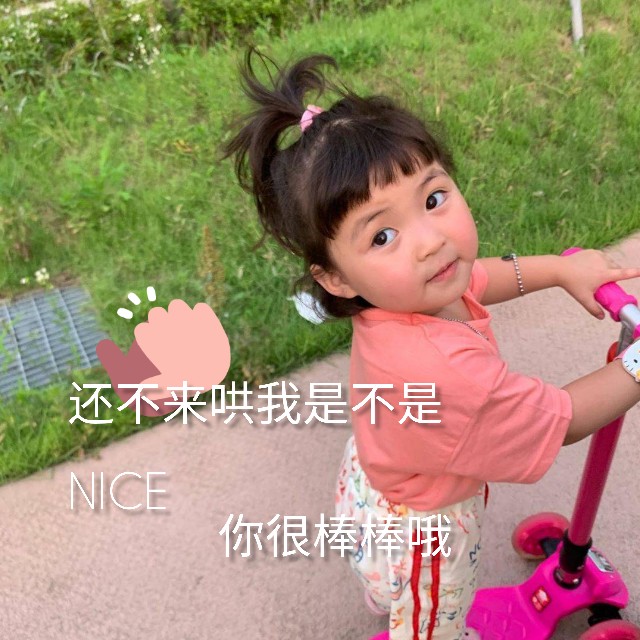 这都几点了表情包,表情包我已经回不去了