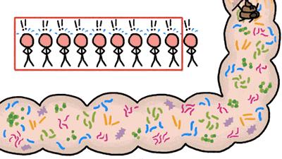 益生菌别瞎吃这3点很重要,益生菌不是生病才吃的