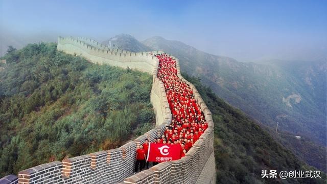 应延尽延政策解读,应延尽延政策