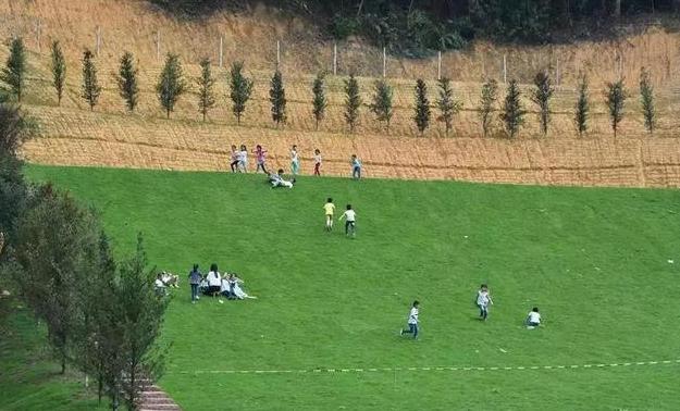 清远最美民宿和十大精品民宿,藏在清远深山老林的世外桃源民宿