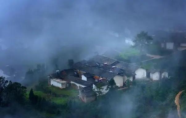 清晨醒来养了三年的狗在舔媳妇的大肚子，儿子流产医生说多亏这狗