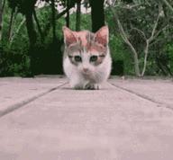 苏州平江路万达广场,苏州万达广场平江店