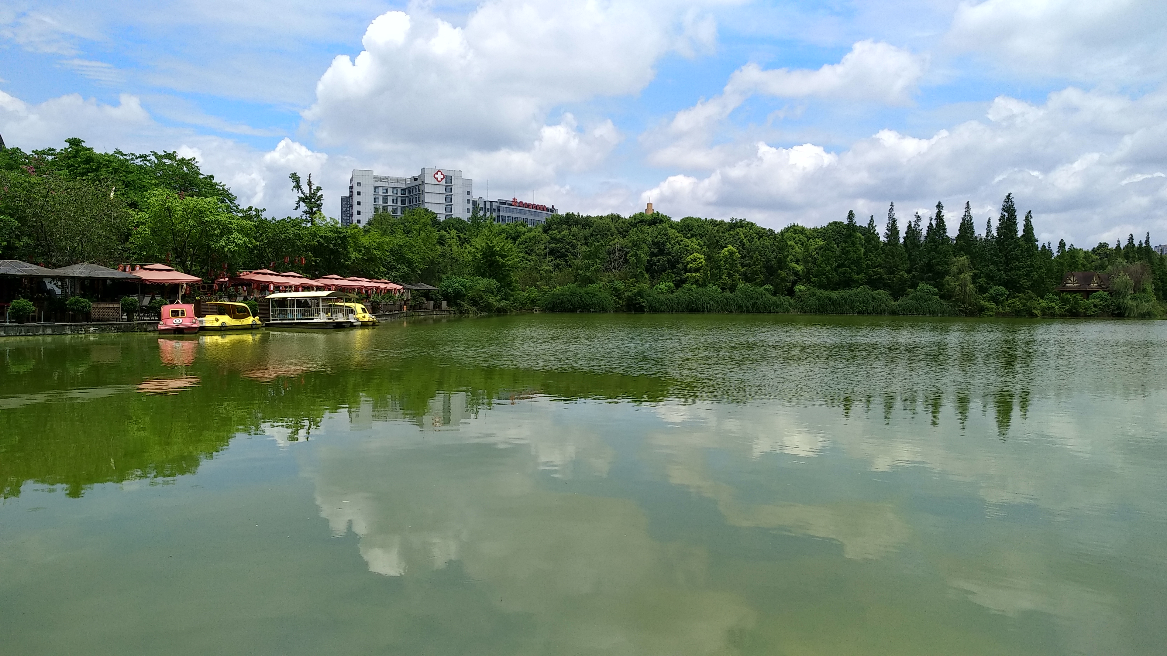 成都南湖公园钓鱼,成都南湖公园