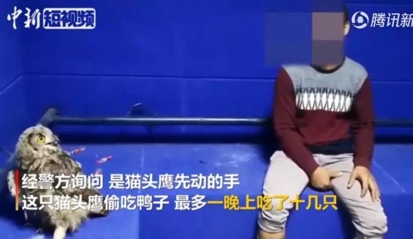 2019奇葩新闻搞笑大合集,你见过最奇葩搞笑的新闻是什么