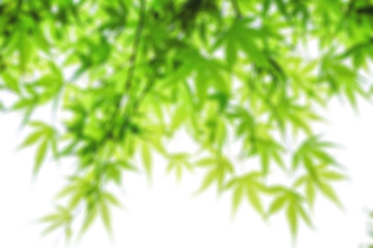 美国大麻合法化背后的逻辑,工业大麻合法化后果