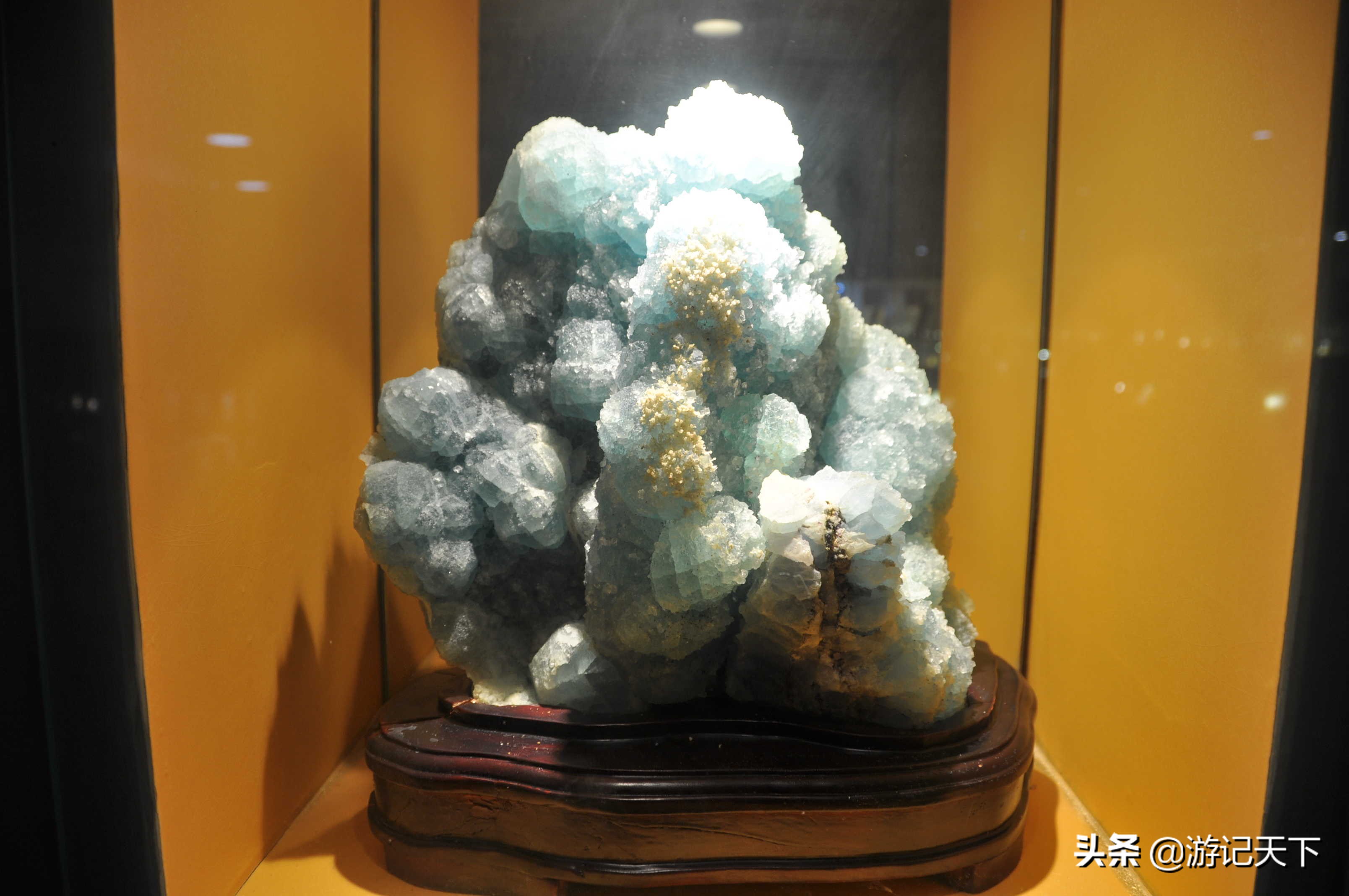 参观上海东方地质科普馆,上海东方地质科普馆需要预约吗