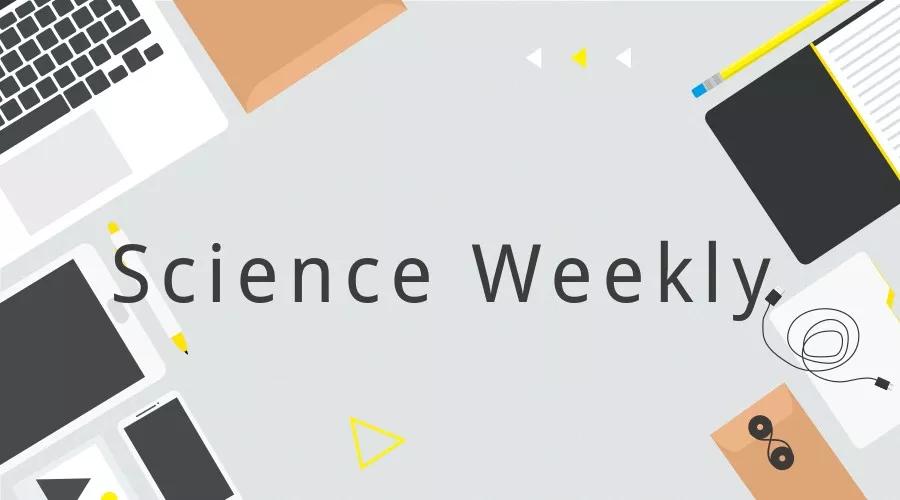 低脂饮食影响生殖系统,高蛋白低碳水降低雄性激素