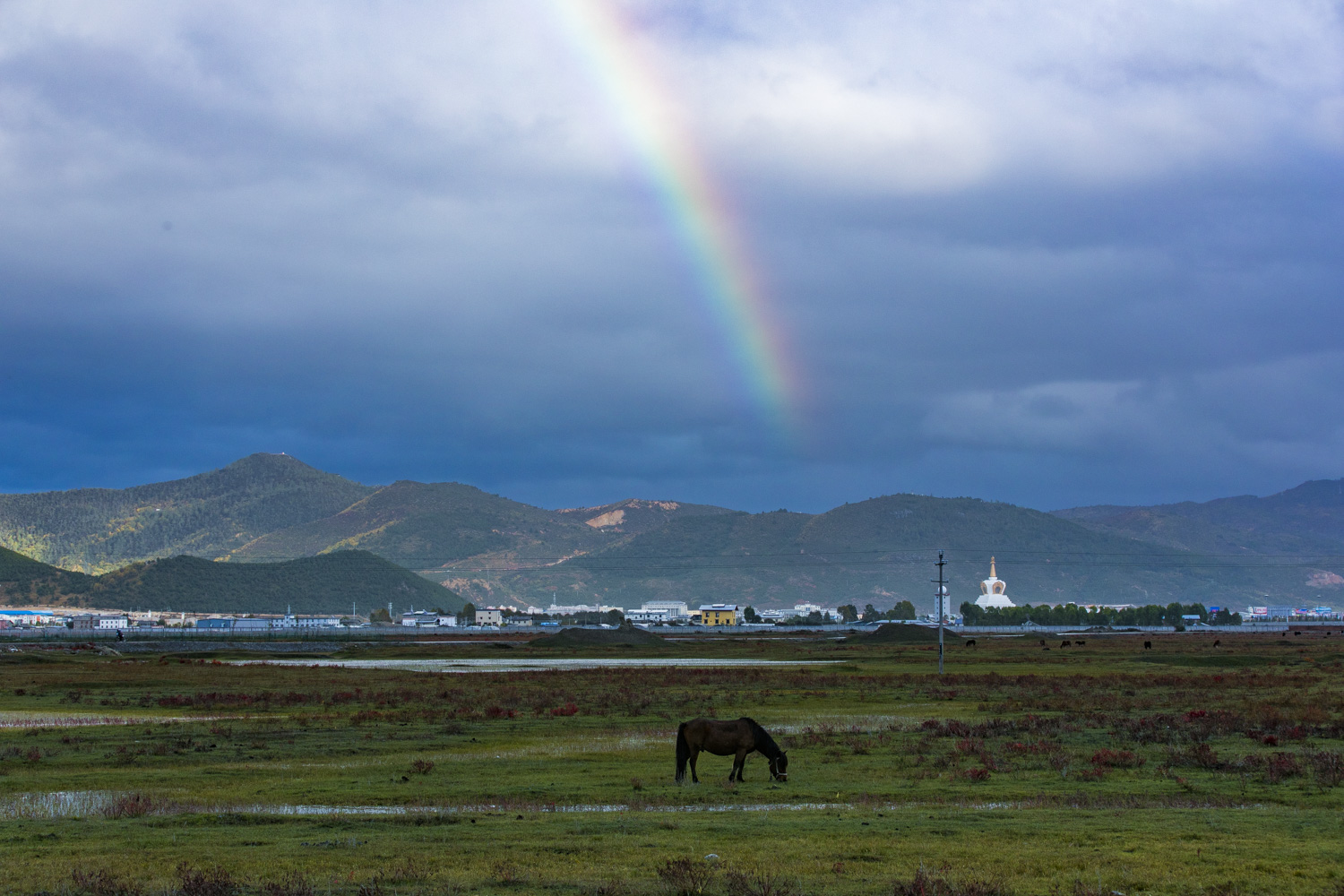 云南旅游石林景区攻略,云南石林旅游攻略必去景点有哪些
