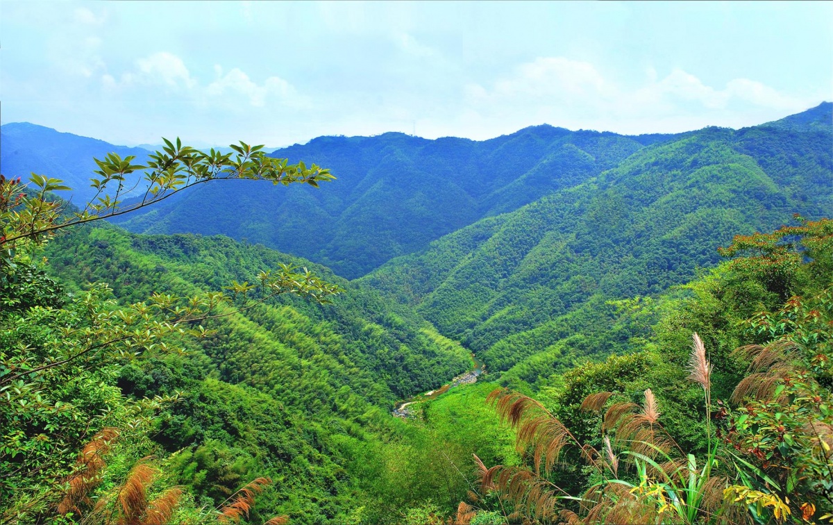 梅州丰顺金德宝温泉,丰顺金德宝温泉度假村