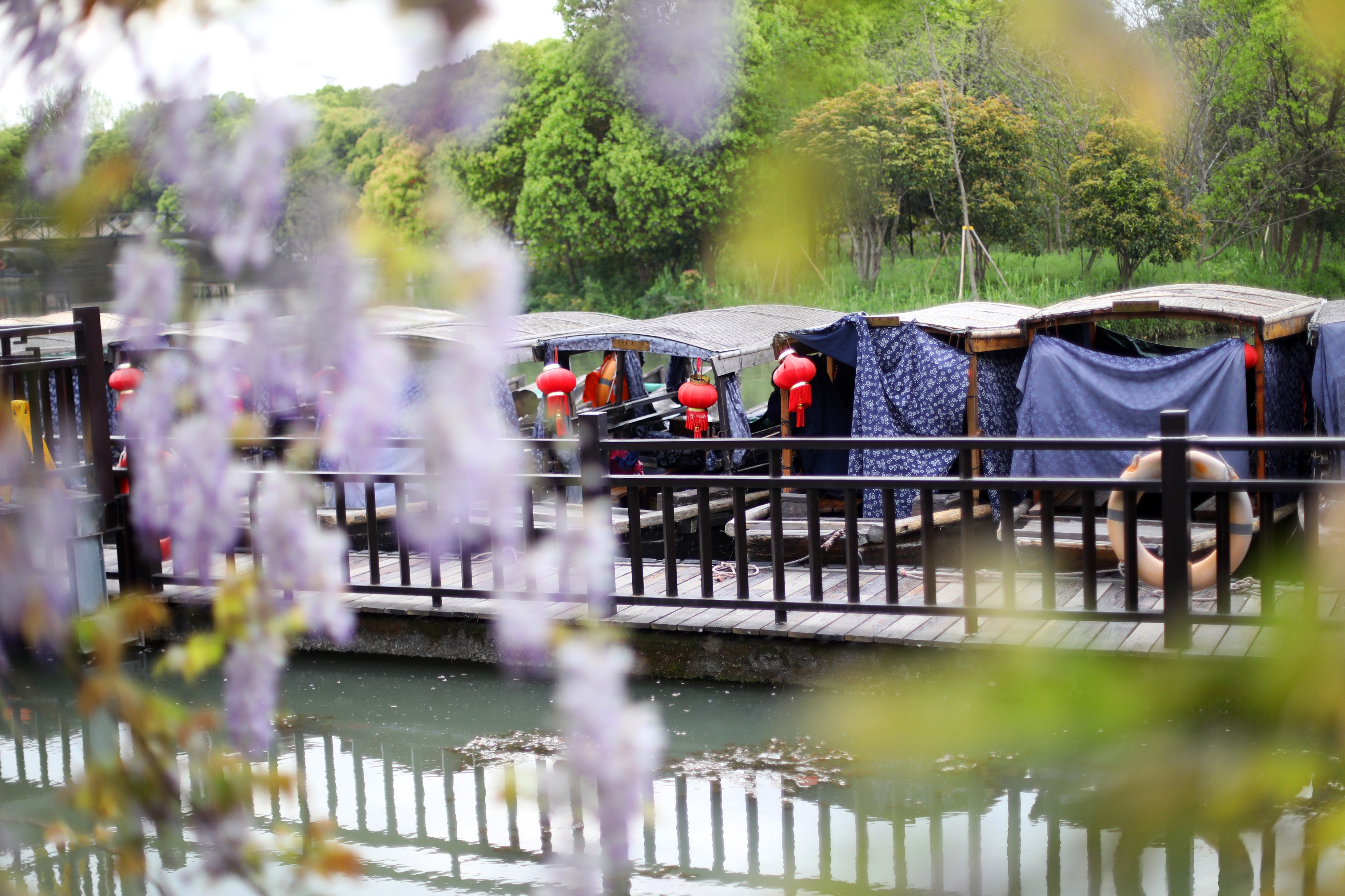 常熟水上花田旅游攻略,常熟水上游玩攻略