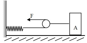 11岁的功夫怎么学,11岁基本功怎么做