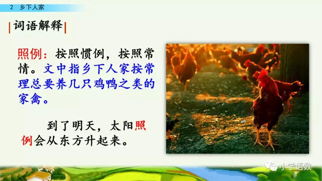 四年级下册乡下人家小练笔350字,四年级语文下册繁星精讲教学视频