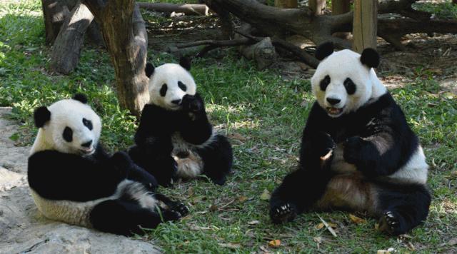 广州长隆儿童欢乐世界春节,广州长隆欢乐世界春游儿童玩什么