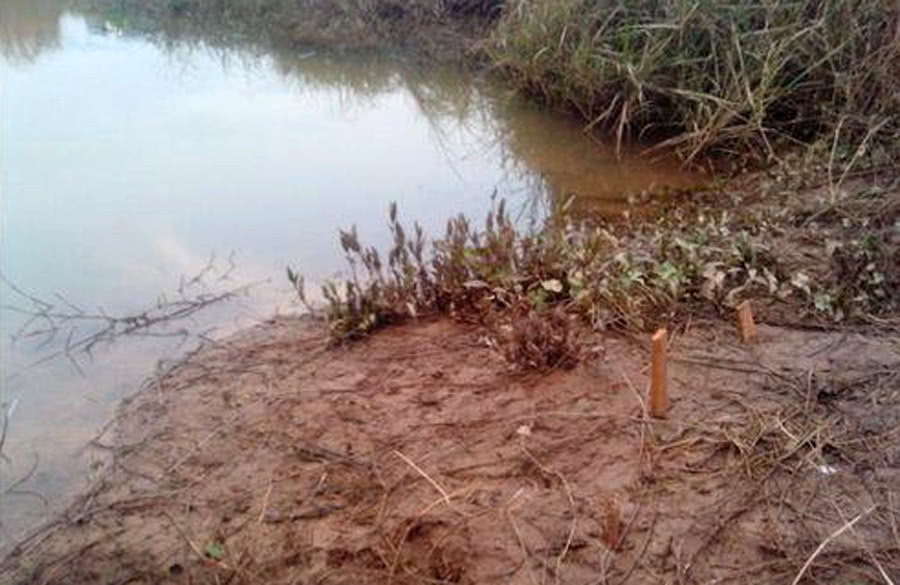 渔人钓鱼技巧视频,祖传千年钓甲鱼秘方